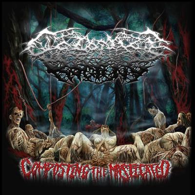 Regurgitated Carrion By Colonize the Rotting's cover