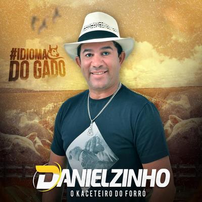 Danielzinho O Kaceteiro Do Forró's cover