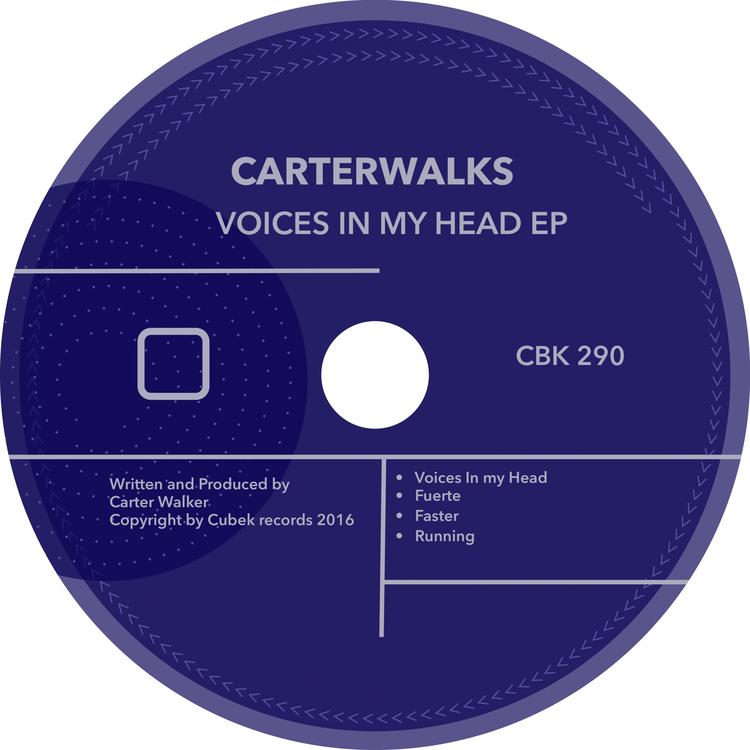 CarterWALKS's avatar image