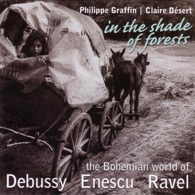 Beau Soir By Philippe Graffin, Claire Désert's cover