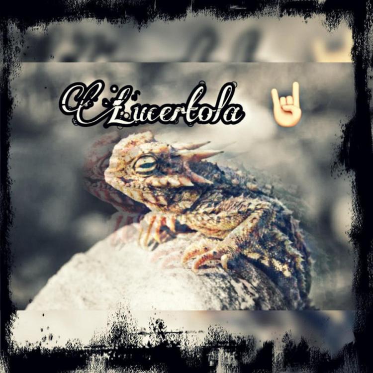 L'ucertola's avatar image