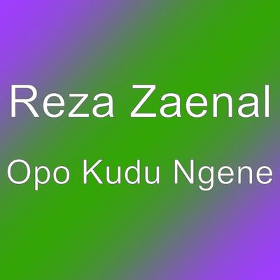 Reza Zaenal's cover