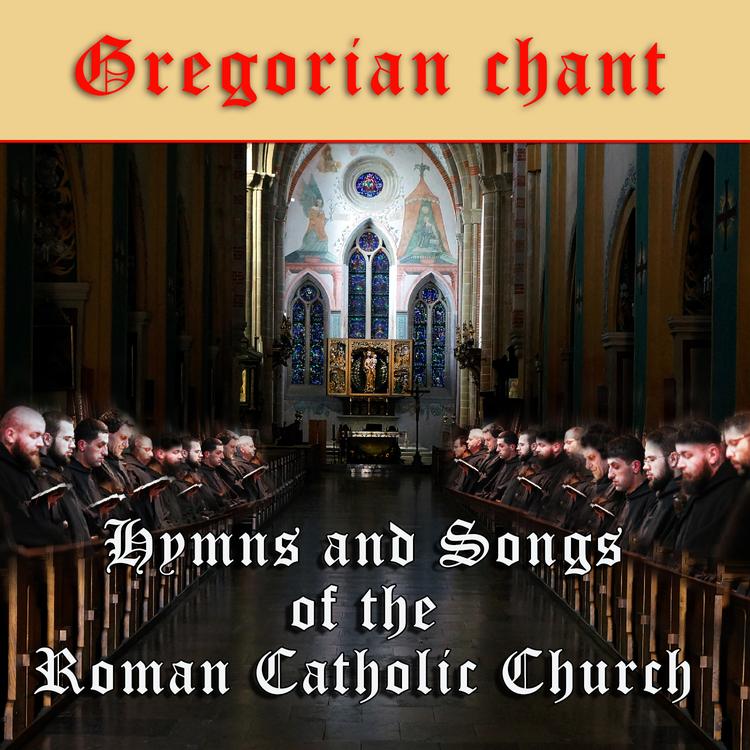 Choir Laudate Dominum's avatar image