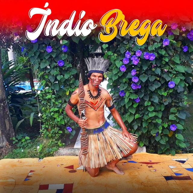 Índio Brega's avatar image