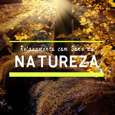 Sons da Natureza para Relaxar, Pt. 19 By Música Com Sons Da Natureza De IMG Library's cover