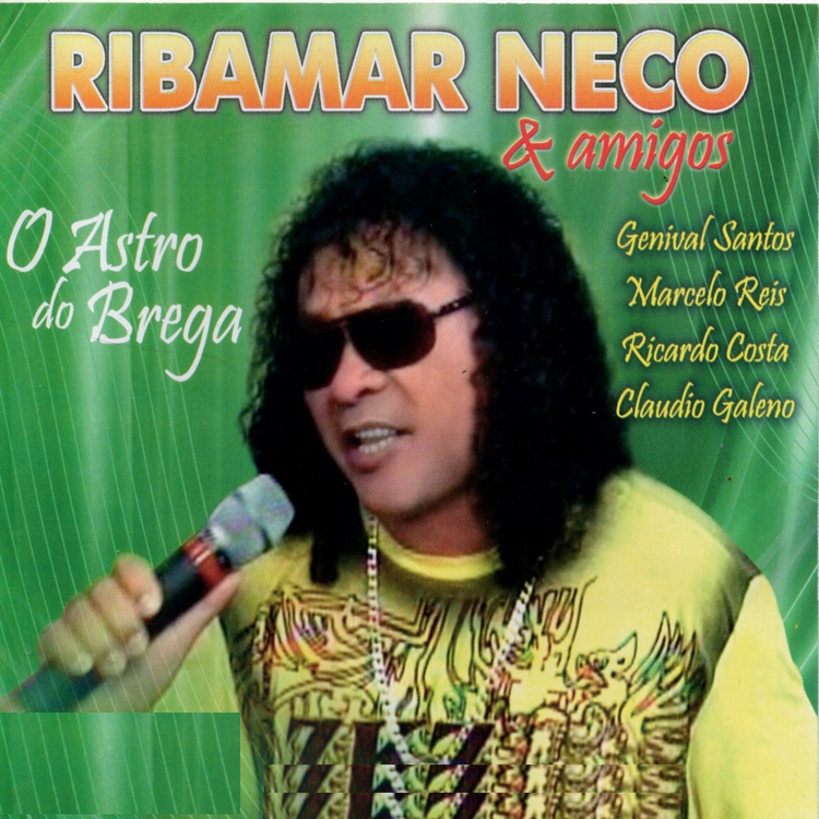 Ribamar Neco's avatar image