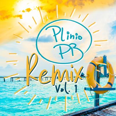 Tá Tudo Bem (Remix) By Plinio PB's cover