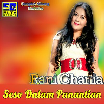 Seso Dalam Panantian (Lagu Dangdut Minang)'s cover