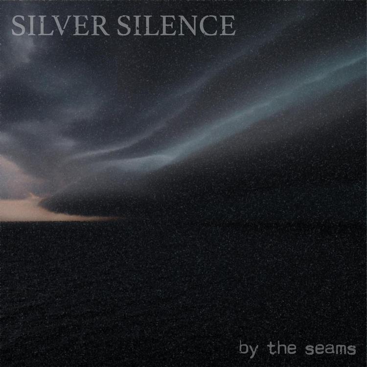 Silver Silence's avatar image