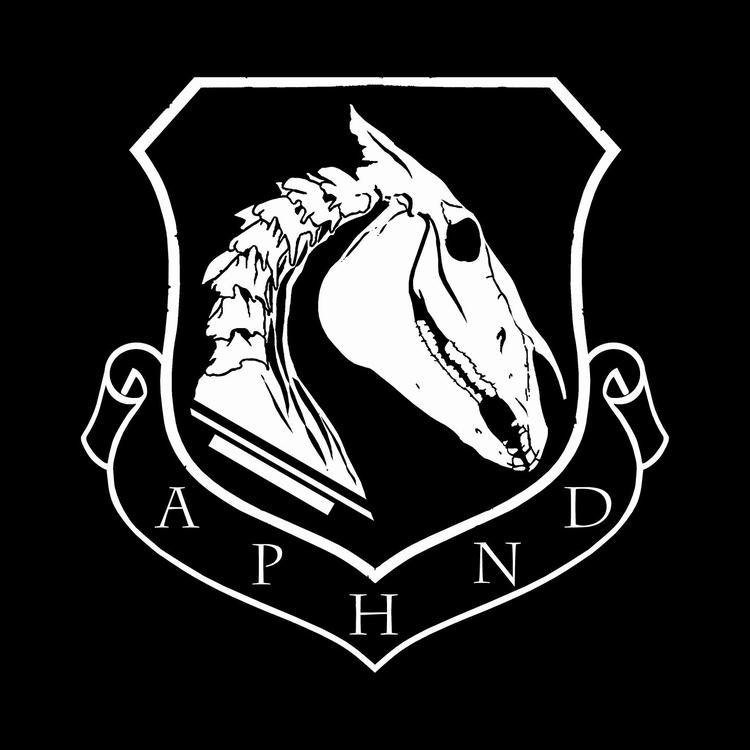 A Pale Horse Named Death's avatar image