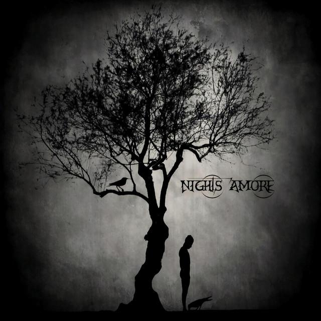 Nights Amore's avatar image