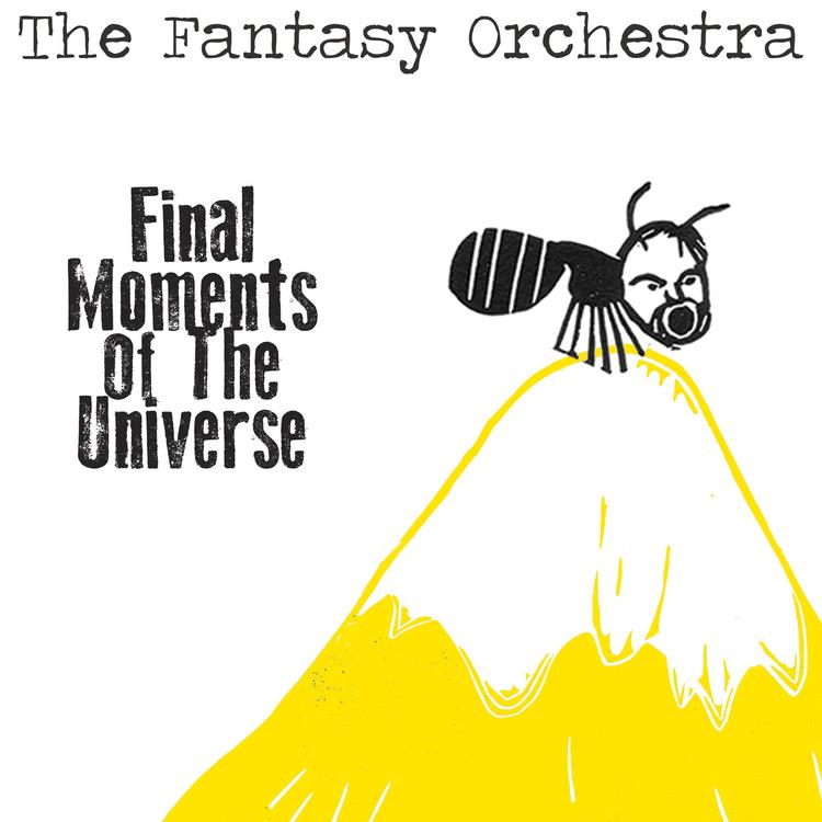 The Fantasy Orchestra's avatar image
