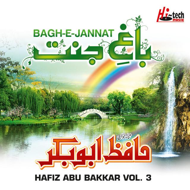 Hafiz Abu Bakkar's avatar image