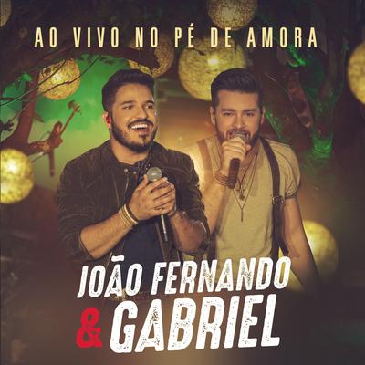 Ao Vivo no Pé de Amora's cover