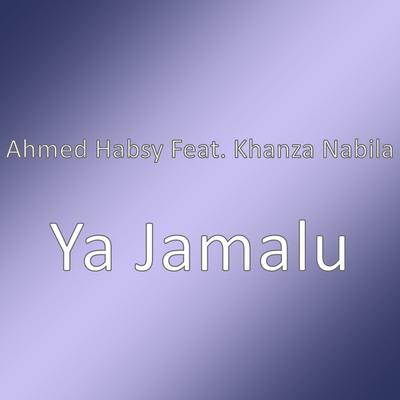 Ahmed Habsy's cover