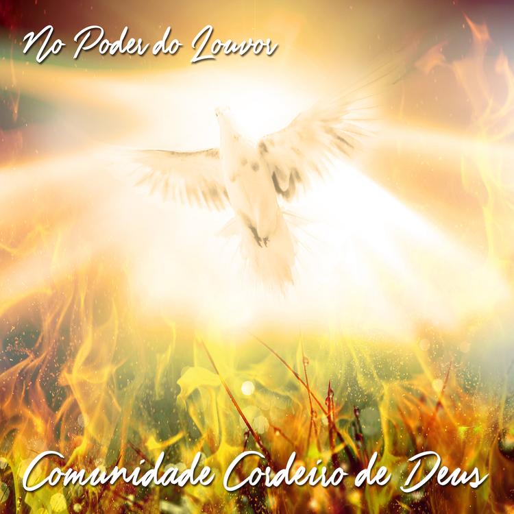 Comunidade Cordeiro de Deus's avatar image