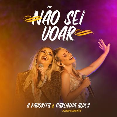 Não Sei Voar (Ao Vivo)'s cover