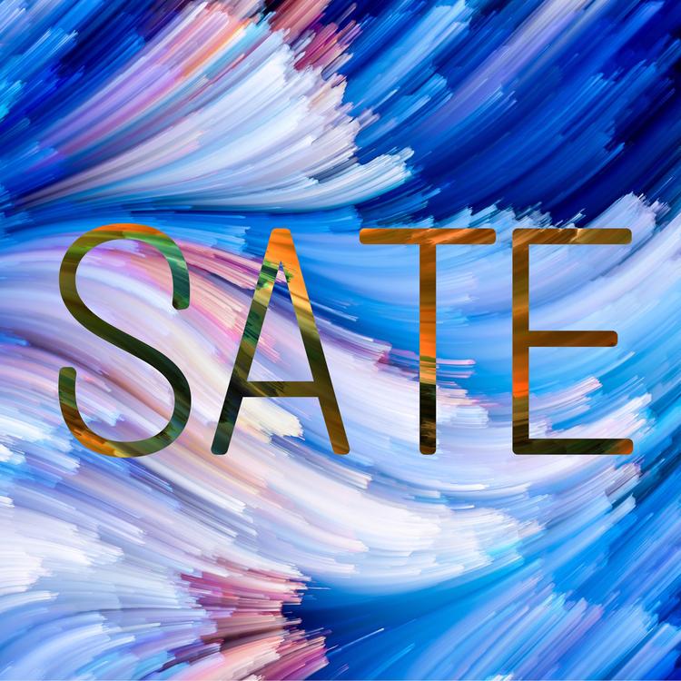 SATE's avatar image