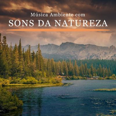 Música Anti Stress By Música Com Sons Da Natureza De IMG Library's cover