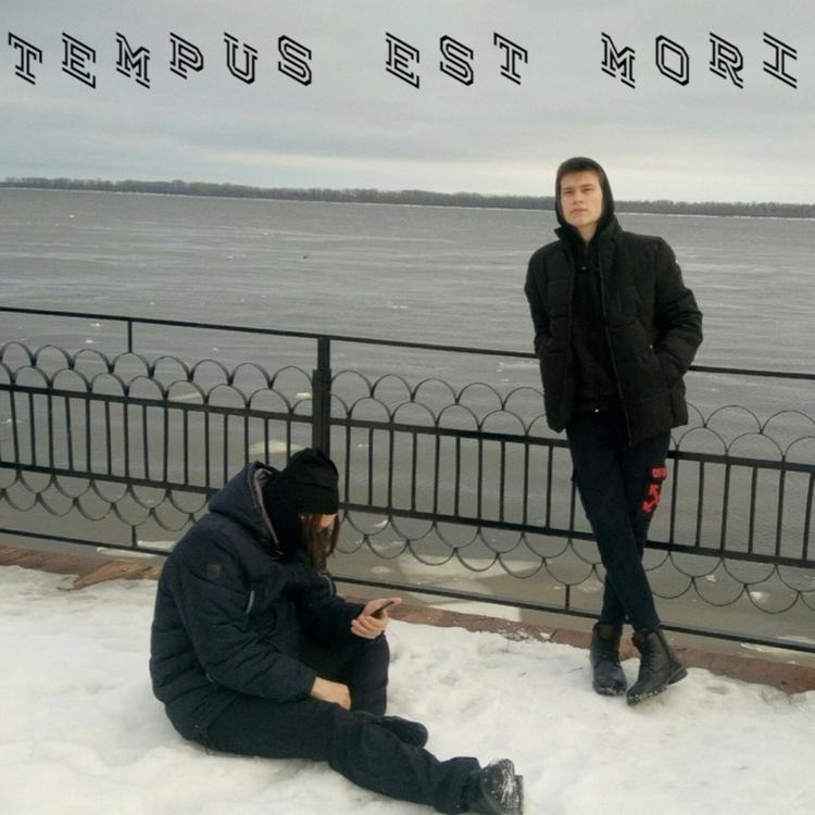 tempus est mori's avatar image