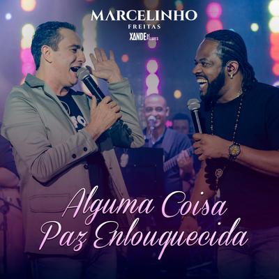 Alguma Coisa / Paz Enloquecida (Ao Vivo) By Xande De Pilares, Marcelinho Freitas's cover