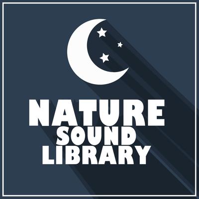 Park Birds By Sleep Sound Library's cover