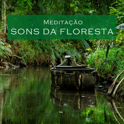 Meditação: Sons da Floresta's cover