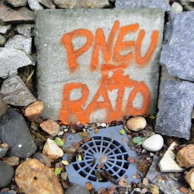 A Nova Arma: Protesto By PNeU-De-RaTo's cover