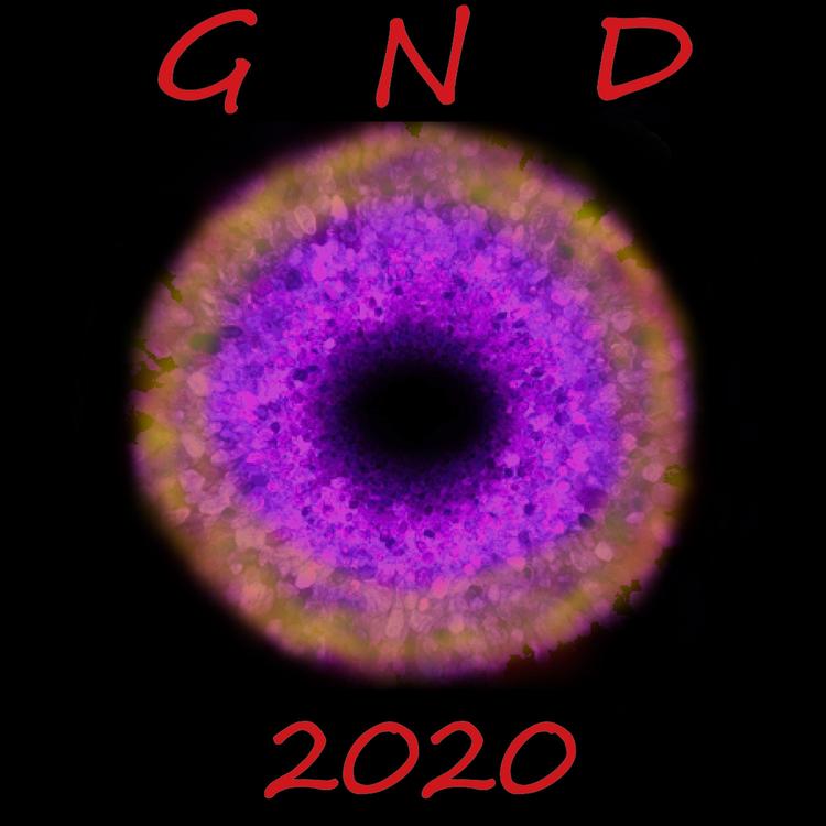 G-N-D's avatar image