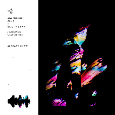 Already Know By Adventure Club, Said The Sky, Caly Bevier's cover