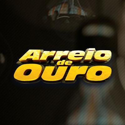 Boi Cigano (Ao Vivo) By Arreio de Ouro's cover