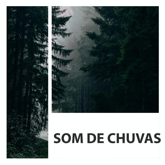 Sons De Chuva Para Dormir's avatar image