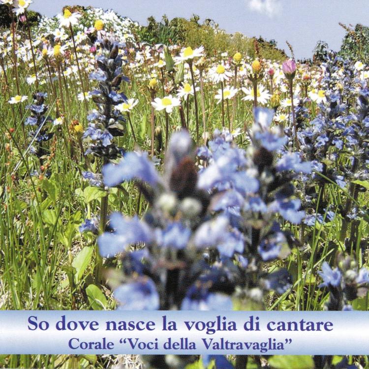 Nuova Schola Cantorum di Montegrino's avatar image