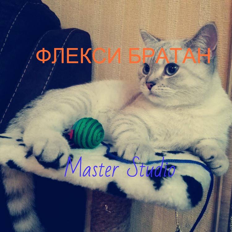 Master Studio's avatar image