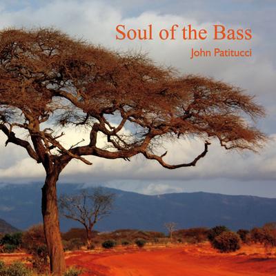 Soul Of The Bass By John Patitucci's cover