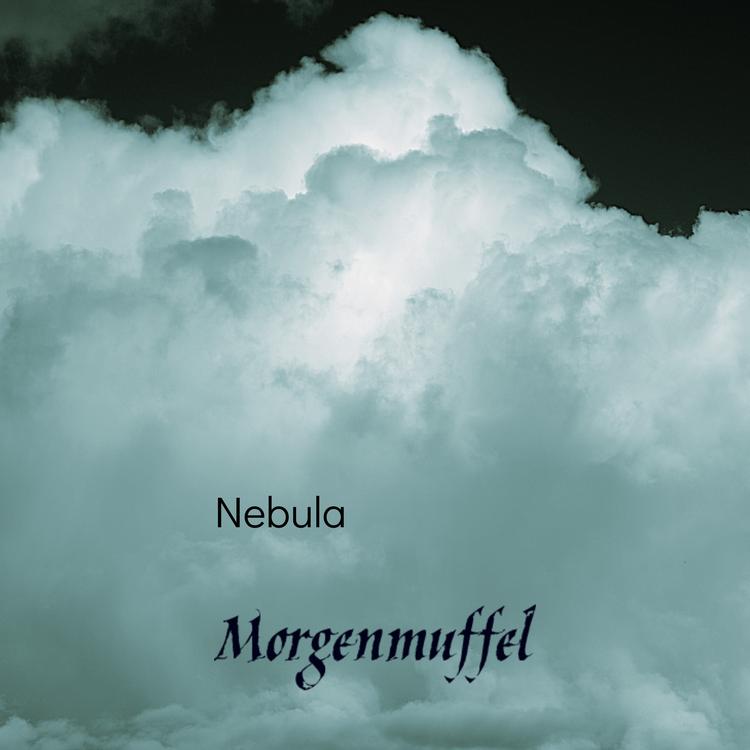 Morgemuffel's avatar image