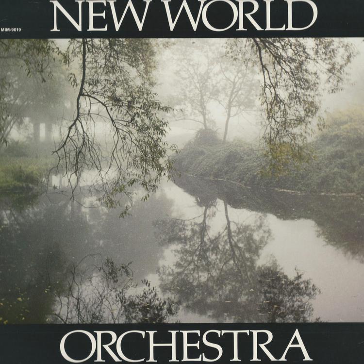 New World Orchestra's avatar image