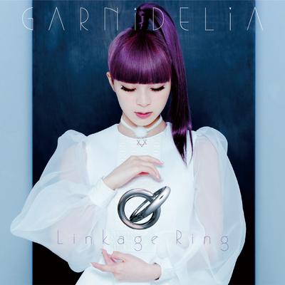 Ambiguous By GARNiDELiA's cover
