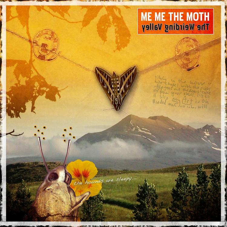 Me Me The Moth's avatar image