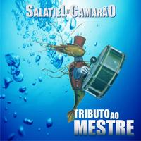 Salatiel D'Camarão's avatar cover
