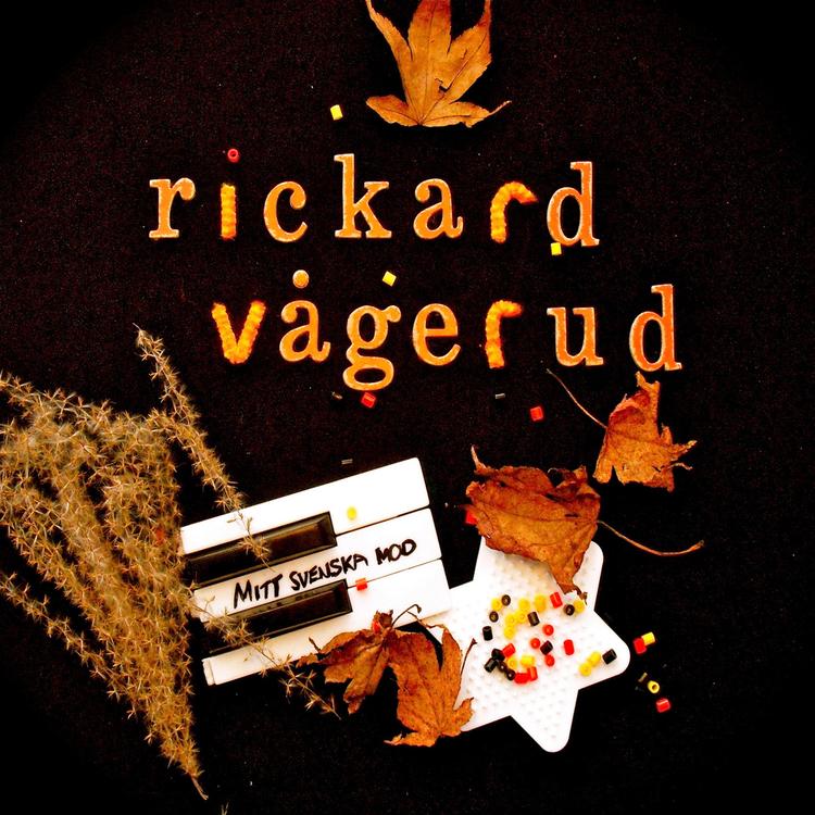 Rickard Vågerud's avatar image