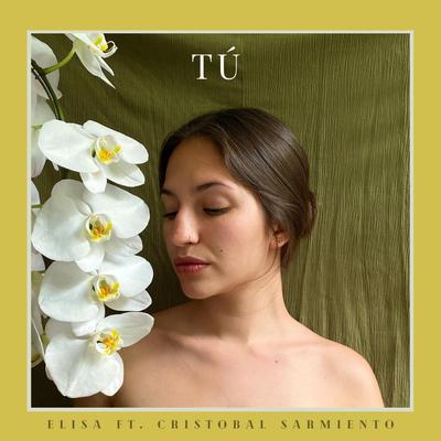 Tú (feat. Cristobal Sarmiento) By Elisa, Cristobal Sarmiento's cover