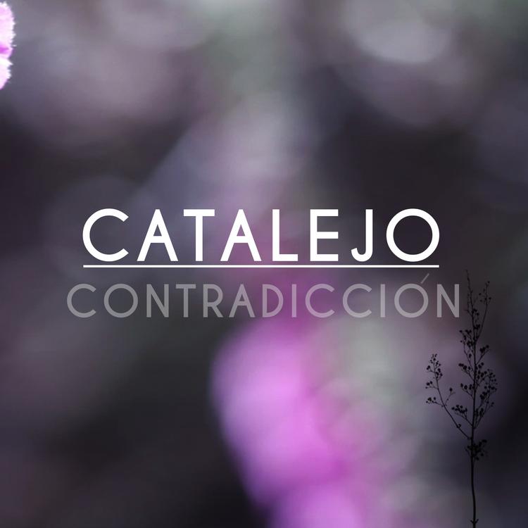 Catalejo's avatar image