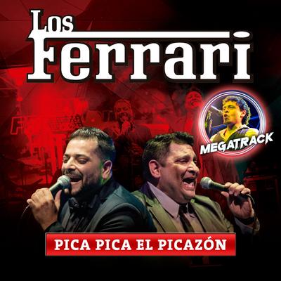 Pica Pica el Picazon's cover