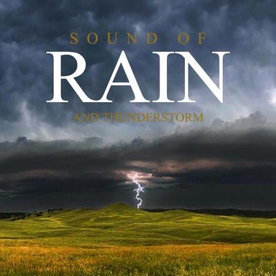 Sound of Rain and Thunderstorm, Pt. 35's cover
