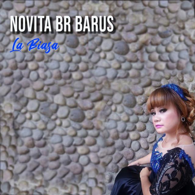 Novita Br Barus's avatar image