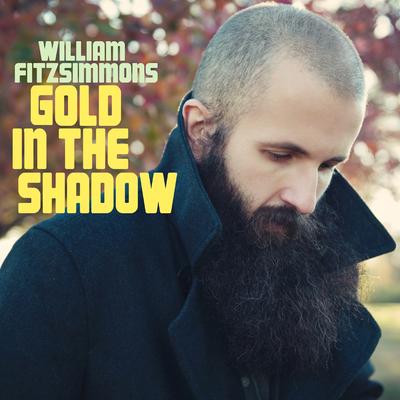 Gold in the Shadow's cover