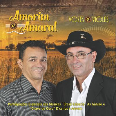 Amorim & Amaral's cover