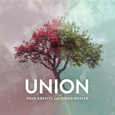 Union By Dear Gravity, Simon Wester's cover