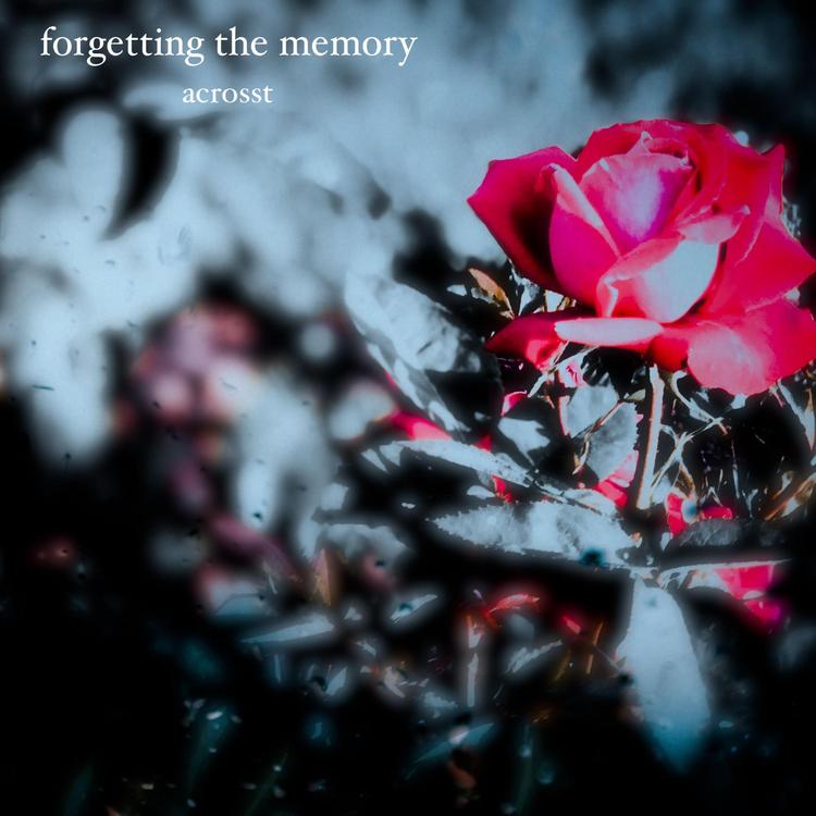 Forgetting the Memory's avatar image
